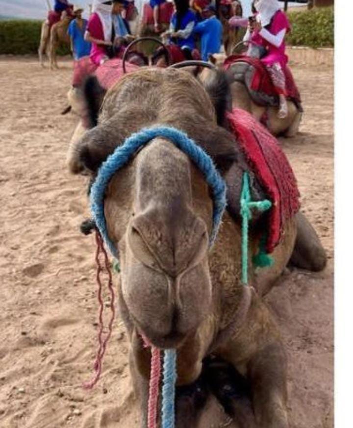 Comfortable Transport